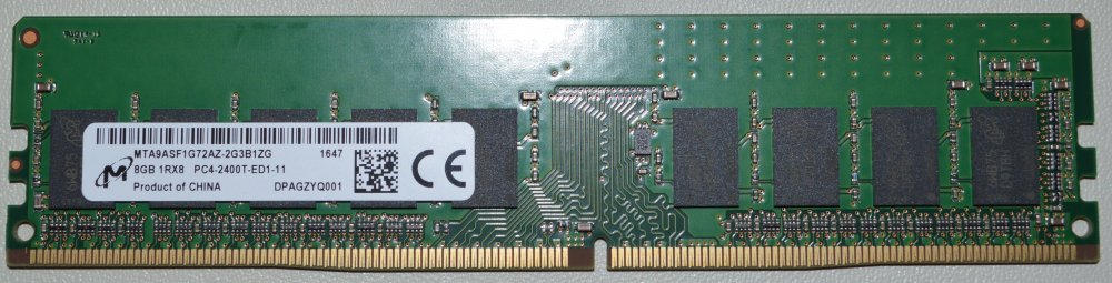 DSC_0030_CROP.thumb.jpg.8ef719e44e359aab4b8c719559d45434 (1).jpg